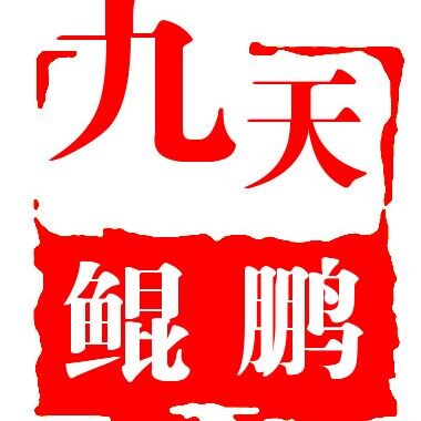 江西九天鲲鹏教育咨询有限公司